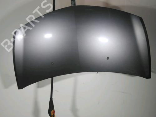 Used Hood RENAULT CLIO III (BR0/1, CR0/1) 1.2 16V (BR02, BR0J, BR11, CR02, CR0J, CR11) (75 hp) 19133685