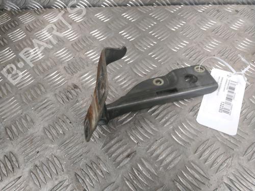 Hinge/Door check strap NISSAN PATHFINDER III (R51) 2.5 dCi 4WD | BP16209131C146 