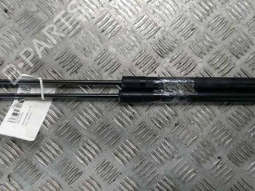 Used Tailgate lift support Tailgate lift support DACIA SANDERO II 1.2 (75 hp) 17068227 17068227
