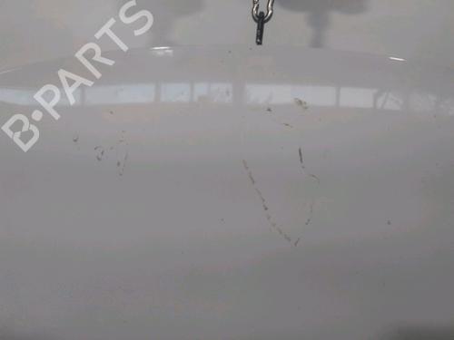 hood-citroen-c3-ii-sc_-2009-29155942 main image