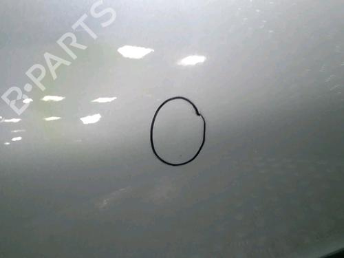 Right front door PEUGEOT 206 Hatchback (2A/C) 1.9 D | BP13081248C3 