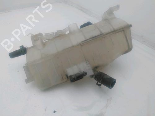 Expansion tank RENAULT KANGOO Express (FW0/1_) 1.5 dCi 90 (FW0G, FW05, FW08, FW11) | BP29494603C120 