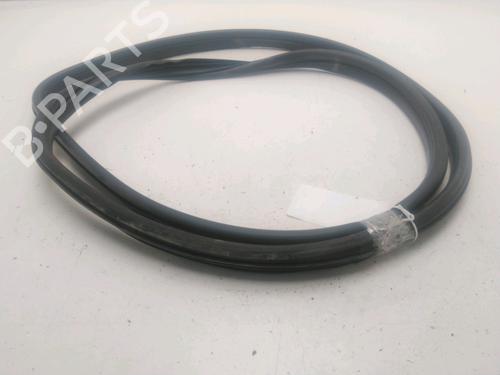 Used Rubber door seal RENAULT MEGANE II (BM0/1_, CM0/1_) 1.5 dCi (BM1F, CM1F) (86 hp) 25611344