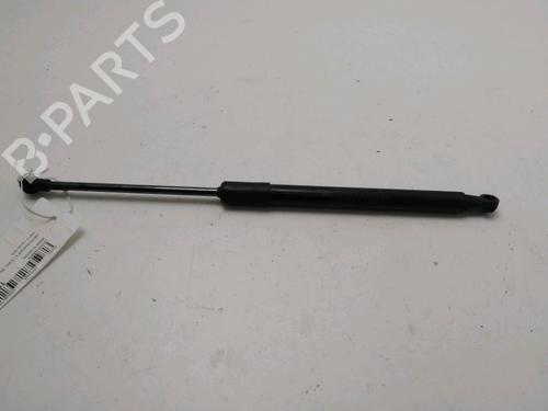 Tailgate lift support DACIA DUSTER (HM_) 1.5 dCi 110 (HMAB) | BP30825398C138