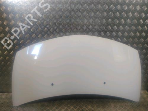 Capot RENAULT CLIO III Hatchback Van (SB_, SR_) [2005-2025]  17176257