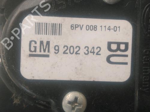Used Pedal OPEL ZAFIRA / ZAFIRA FAMILY B (A05) 1.9 CDTI (M75) (120 hp) 26590580