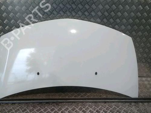 Hood RENAULT CLIO III (BR0/1, CR0/1) 1.5 dCi | BP15799849C1 