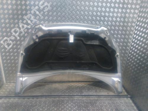 Hood PEUGEOT 307 (3A/C) 2.0 HDi 110 | BP16332832C1 