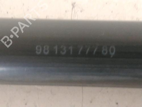 tailgate-lift-support-citroen-c3-iii-van-sx_-sy_-2016-28159860 main image