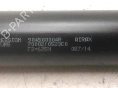 Tailgate lift support RENAULT SCÉNIC III (JZ0/1_) 1.2 TCe (JZ16) | BP29389378C138 
