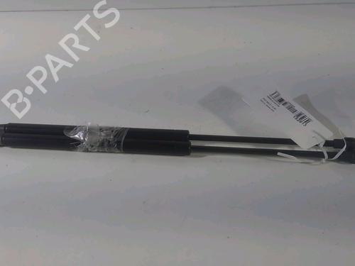 tailgate-lift-support-fiat-500-312_-2007-26405376 main image