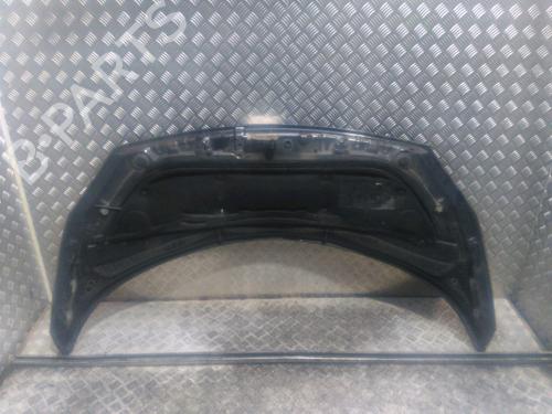 Hood RENAULT SCÉNIC II (JM0/1_) 1.5 dCi (JM1E, JM16) | BP16708295C1 
