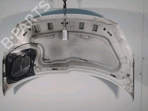 Used Hood PEUGEOT 206+ (2L_, 2M_) 1.1 (60 hp) 21755866