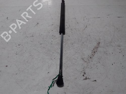 Used Tailgate lift support RENAULT CLIO III (BR0/1, CR0/1) 1.5 dCi (C/BR0G, C/BR1G) (68 hp) 15756849