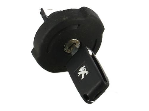 Fuel flap PEUGEOT 3008 I MPV (0U_) 1.6 HDi | BP31031171C131