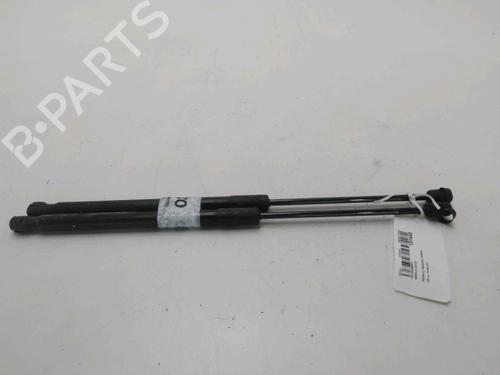 Used Tailgate lift support RENAULT MEGANE III Grandtour (KZ0/1) 1.5 dCi (KZ1M, KZ1W, KZ0R) (106 hp) 20128858