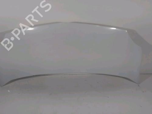 Hood RENAULT KANGOO Express (FW0/1_) 1.5 dCi 70 (FW0A, KW0V) | BP22247054C1 