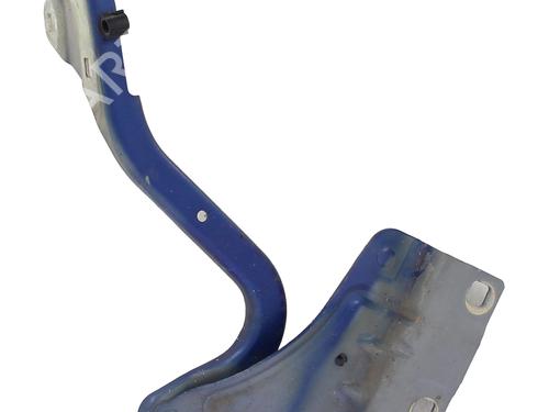 Used Hinge/Door check strap Hinge/Door check strap RENAULT MEGANE IV Hatchback (B9A/M/N_) 1.6 TCe 205 (B9MV) (205 hp) 36486255 36486255