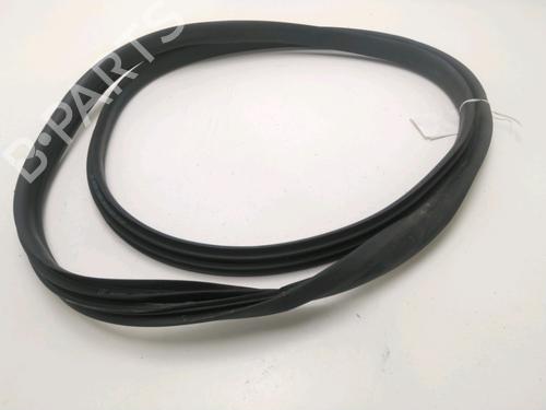 Used Rubber door seal RENAULT ZOE (BFM_) ZOE (92 hp) 20299971