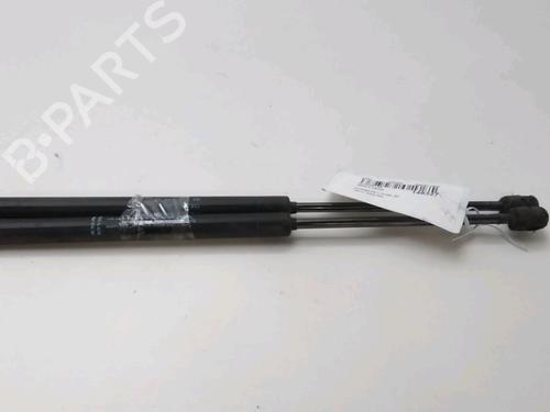 Used Tailgate lift support CITROËN C3 I (FC_, FN_) 1.4 HDi (68 hp) 18035442