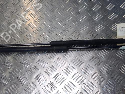 Tailgate lift support AUDI A1 (8X1, 8XK) 1.0 TFSI | BP14902506C138 