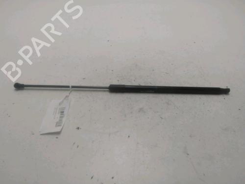 Hood lift support DACIA DUSTER (HM_) 1.3 TCe 130 4x4 (HMMF) | BP29389302C139 