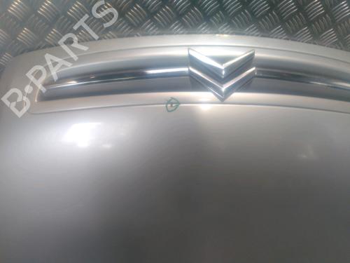 Hood CITROËN XSARA PICASSO (N68) 1.6 HDi | BP15672475C1 