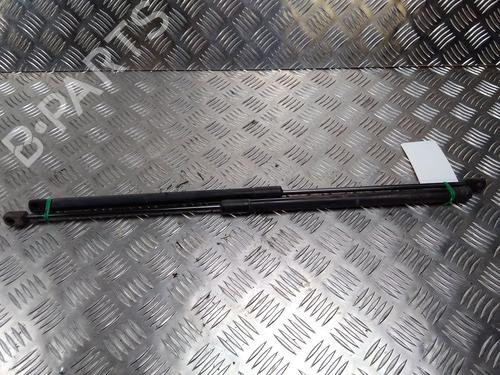 Used Tailgate lift support OPEL CORSA D (S07) 1.3 CDTI (L08, L68) (75 hp) 14902338