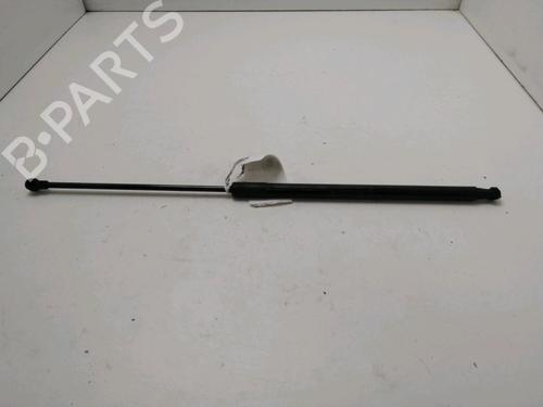 hood-lift-support-dacia-duster-hs_-2010-2011-2012-2013-2014-2015-2016-2017-2018-30825332 main image