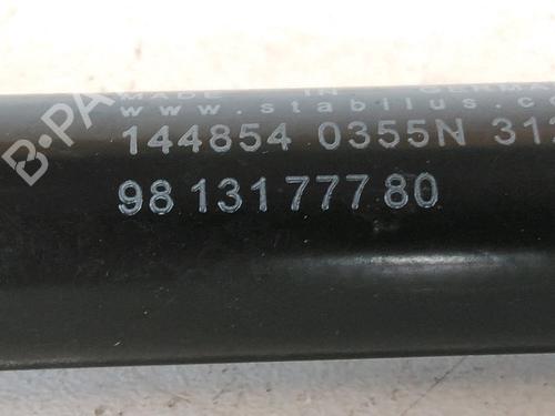 tailgate-lift-support-citroen-c3-iii-sx-2016-30311071 main image