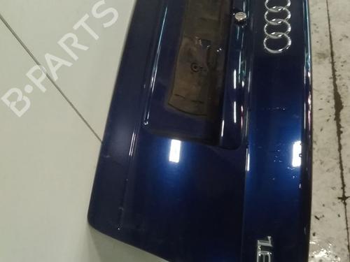 Used Tailgate Tailgate AUDI A4 B6 (8E2) [2000-2005] 17823929 17823929
