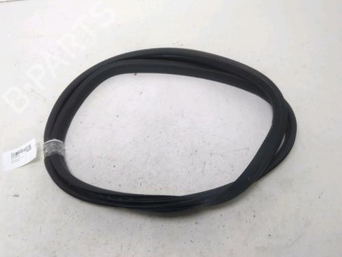 Used Rubber door seal RENAULT CLIO V (B7_) 1.0 TCe 100 (B7MT) (101 hp) 29442589