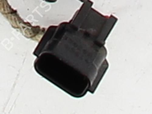 Rear left exterior door handle RENAULT SCÉNIC III (JZ0/1_) 1.5 dCi | BP30522887C130 