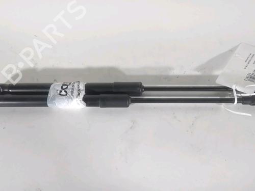 Used Tailgate lift support RENAULT KADJAR (HA_, HL_) 1.5 BLUE dCi 115 (HLA6) (116 hp) 22186311