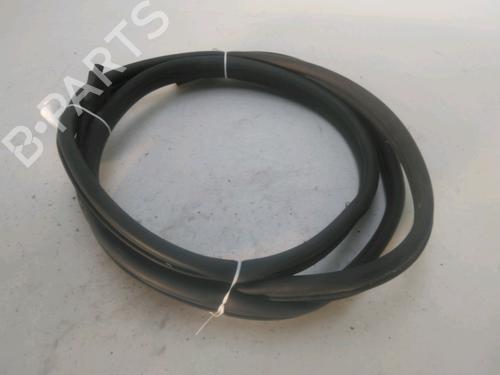 Used Rubber door seal RENAULT KANGOO Express (FW0/1_) Z.E. (FW0Z, FW1Z) (60 hp) 30140112
