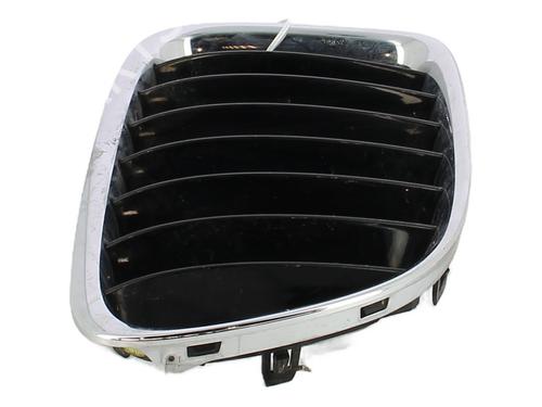 Grille BMW X1 (E84) sDrive 16 d | BP29819290C40