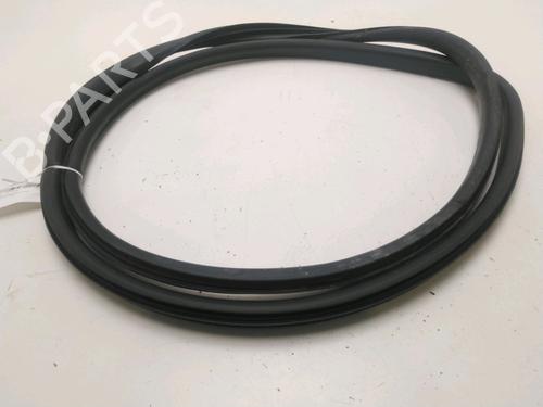 Used Rubber door seal RENAULT MEGANE III Hatchback (BZ0/1_, B3_) 1.5 dCi (106 hp) 21564100