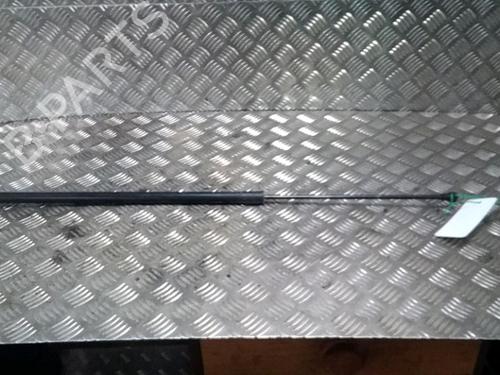 Used Tailgate lift support RENAULT KANGOO / GRAND KANGOO II (KW0/1_) 1.5 dCi 90 (KW05, KW08, KW0G, KW11) (90 hp) 14902510