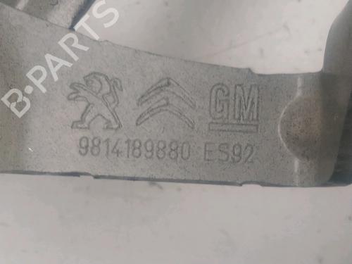 Used Hinge/Door check strap PEUGEOT 3008 II SUV (MC_, MR_, MJ_, M4_) 1.5 BlueHDi 130 (131 hp) 25611339