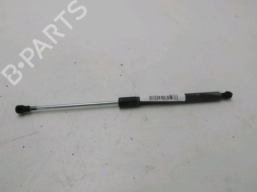 Used Tailgate lift support RENAULT CLIO III (BR0/1, CR0/1) 1.5 dCi (C/BR0G, C/BR1G) (68 hp) 20128859