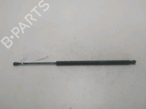 tailgate-lift-support-porsche-cayman-987-2005-2006-2007-2008-2009-2010-2011-2012-2013-24882564 main image