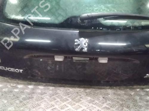 Bakluke CC/Kombi-Kupé PEUGEOT 206 Hatchback (2A/C)  | BP15756552C6 