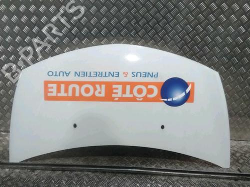 Used Hood RENAULT CLIO III (BR0/1, CR0/1) 1.5 dCi (C/BR0G, C/BR1G) (68 hp) 16487918