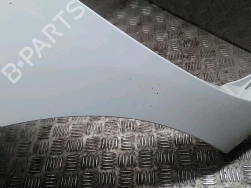 Left front fenders RENAULT KANGOO Express (FW0/1_) 1.5 dCi 70 (FW0A, KW0V) | BP13080708C41 