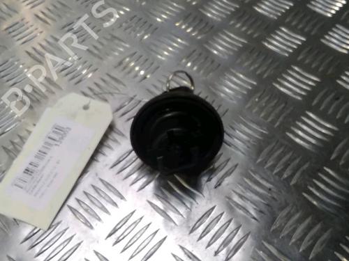 Used Fuel flap RENAULT CLIO II (BB_, CB_) 1.2 (BB0A, BB0F, BB10, BB1K, BB28, BB2D, BB2H, CB0A,... (58 hp) 13077706