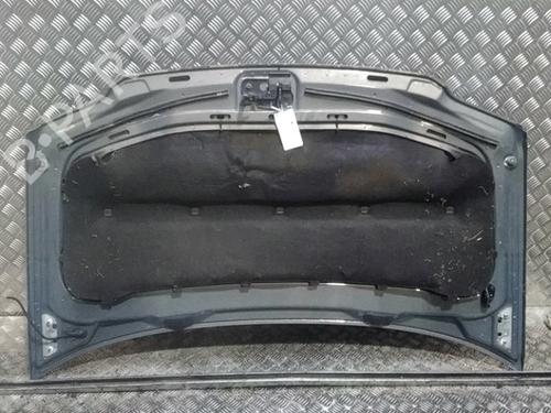 Hood VW TOURAN (1T1, 1T2) 2.0 TDI 16V | BP16487911C1 