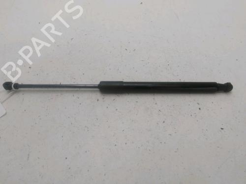 Tailgate lift support DACIA DUSTER (HM_) 1.5 dCi 115 (HMAD) | BP29046781C138 