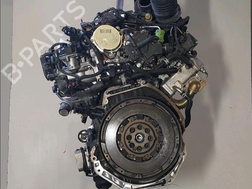 Engine RENAULT SCÉNIC III (JZ0/1_) 1.6 dCi (JZ00, JZ12) | BP28206398M1 