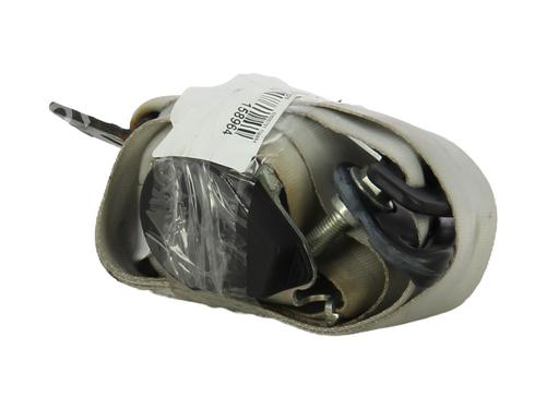 Used Rear left belt tensioner RENAULT SCÉNIC III (JZ0/1_) 1.5 dCi (110 hp) 31576440