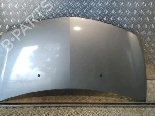 Used Hood RENAULT CLIO III (BR0/1, CR0/1) 1.5 dCi (C/BR0G, C/BR1G) (68 hp) 15723902